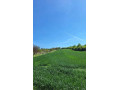 vinicny-dom-v-obci-salov-small-3