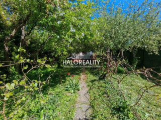 halo-reality