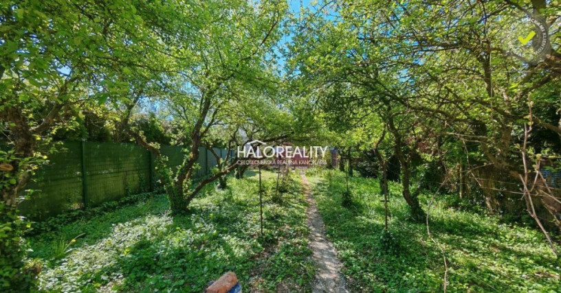 halo-reality-big-1