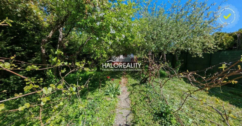 halo-reality-big-0