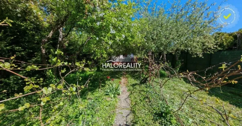 halo-reality-big-0