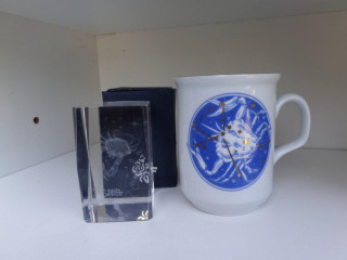 salka-so-znamenim-rak