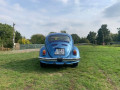 volkswagen-beetle-chrobak-small-3