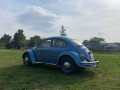 volkswagen-beetle-chrobak-small-1