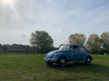 volkswagen-beetle-chrobak-small-2