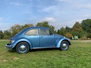 volkswagen-beetle-chrobak