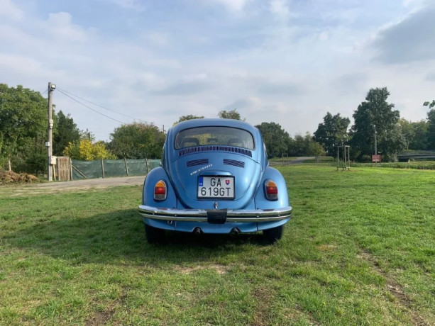 volkswagen-beetle-chrobak-big-3