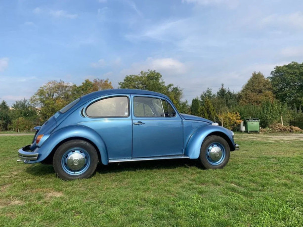 volkswagen-beetle-chrobak-big-0