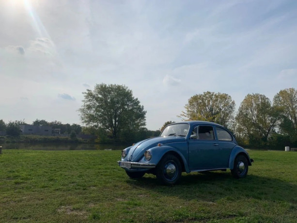 volkswagen-beetle-chrobak-big-2
