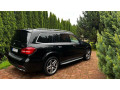 mercedes-benz-gls-s-350-d-4matic-190kw258hp-a9-small-0