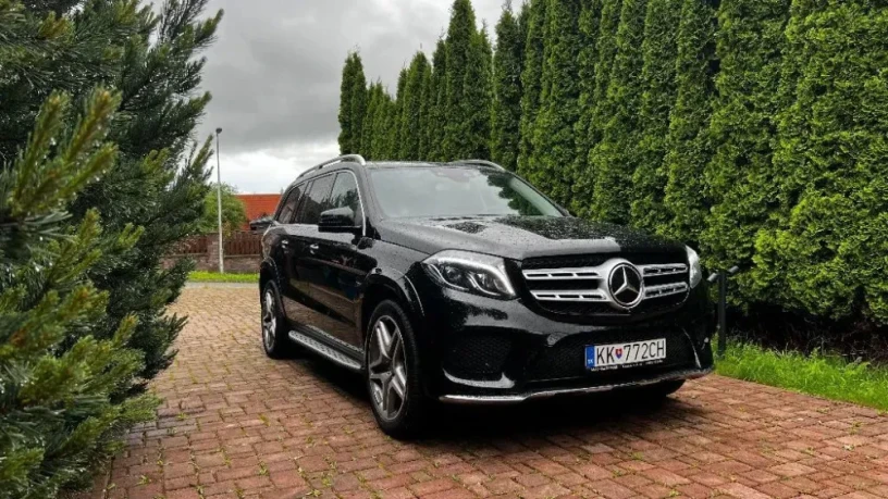 mercedes-benz-gls-s-350-d-4matic-190kw258hp-a9-big-2