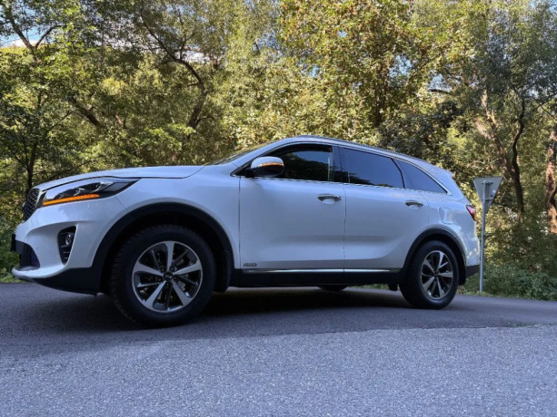 kia-sorento-22-crdi-platinum-at-147kw200hp-a8-big-2