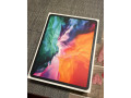 ipad-pro-129-4th-gen-256-gb-wifi-cellular-space-gray-small-1