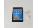 apple-ipad-mini-32gb-space-gray-small-0
