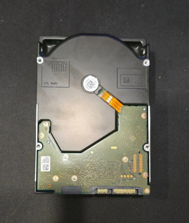 hdd-western-digital-16-tb-big-1