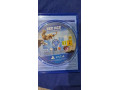 ice-age-small-1