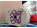pedam-wlmouse-miao-white-small-3