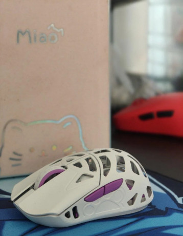 pedam-wlmouse-miao-white-big-0