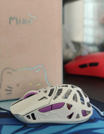 pedam-wlmouse-miao-white-big-2
