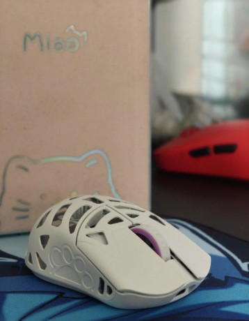 pedam-wlmouse-miao-white-big-1