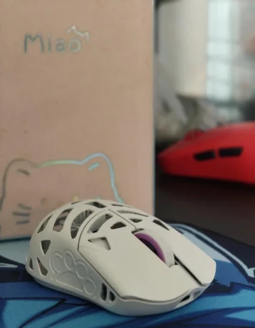 pedam-wlmouse-miao-white-big-1