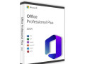 microsoft-office-20212024-professional-plus-small-1