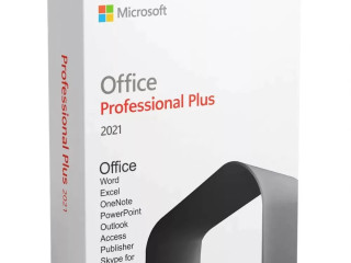 microsoft-office-20212024-professional-plus