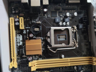 asus-h81m