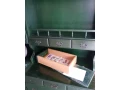bonanza-small-4