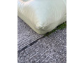 togo-sofa-small-1