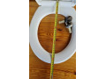 predam-wc-sedatko-s-pomalym-zatvaranim-small-4