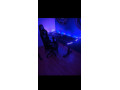herny-stol-ultradesk-force-s-rgb-osvetlenim-stav-ako-novy-small-2