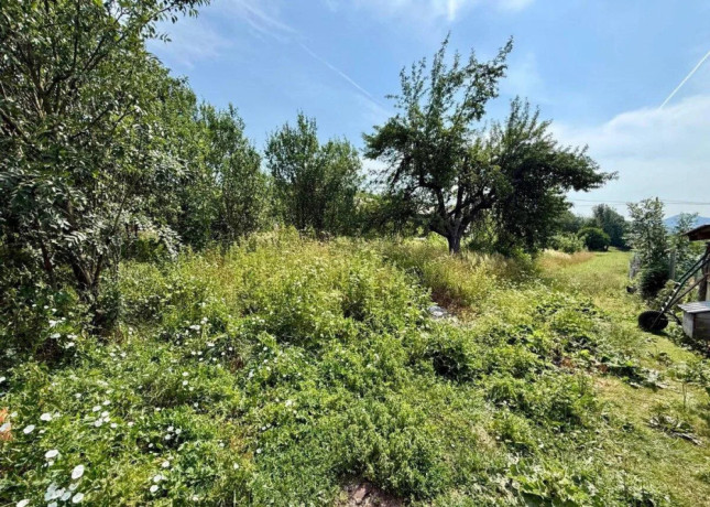 rodinny-dom-s-potencialom-na-predaj-dolna-marikova-big-4
