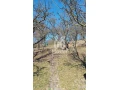chatka-so-zahradou-v-zahradkarskej-osade-banovce-nad-bebravo-small-4