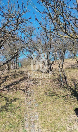 chatka-so-zahradou-v-zahradkarskej-osade-banovce-nad-bebravo-big-4