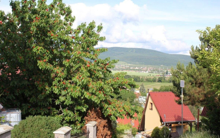 zahradna-chatka-big-1