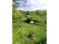 zahradna-chatka-so-slnecnym-pozemkom-small-0