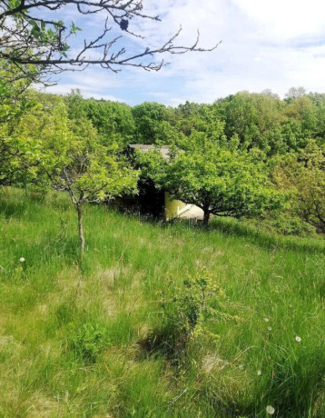 zahradna-chatka-so-slnecnym-pozemkom-big-0