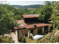 vinicny-vrch-svinica-zahrada-s-chatou-na-predaj-small-1