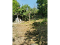 vinicny-vrch-svinica-zahrada-s-chatou-na-predaj-small-3
