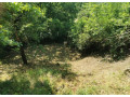 vinicny-vrch-svinica-zahrada-s-chatou-na-predaj-small-2