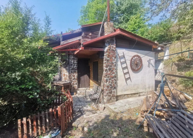 vinicny-vrch-svinica-zahrada-s-chatou-na-predaj-big-0