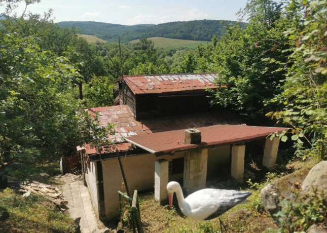 vinicny-vrch-svinica-zahrada-s-chatou-na-predaj-big-1