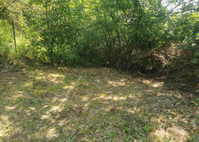 vinicny-vrch-svinica-zahrada-s-chatou-na-predaj-big-4