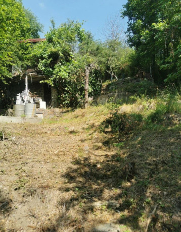 vinicny-vrch-svinica-zahrada-s-chatou-na-predaj-big-3