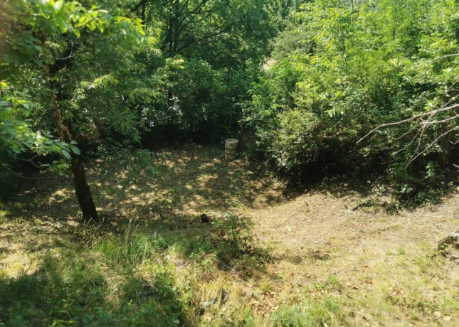 vinicny-vrch-svinica-zahrada-s-chatou-na-predaj-big-2