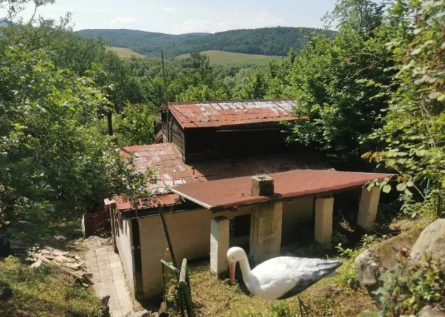 vinicny-vrch-svinica-zahrada-s-chatou-na-predaj-big-1