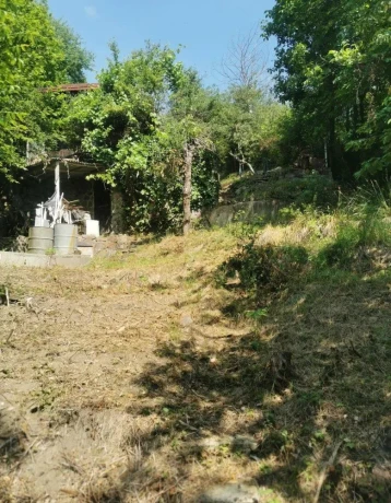 vinicny-vrch-svinica-zahrada-s-chatou-na-predaj-big-3