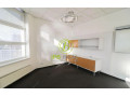 vyborne-situovany-nebytovy-priestor-na-heyrovskeho-ulici-v-l-small-2