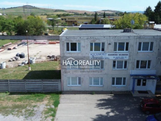 halo-reality